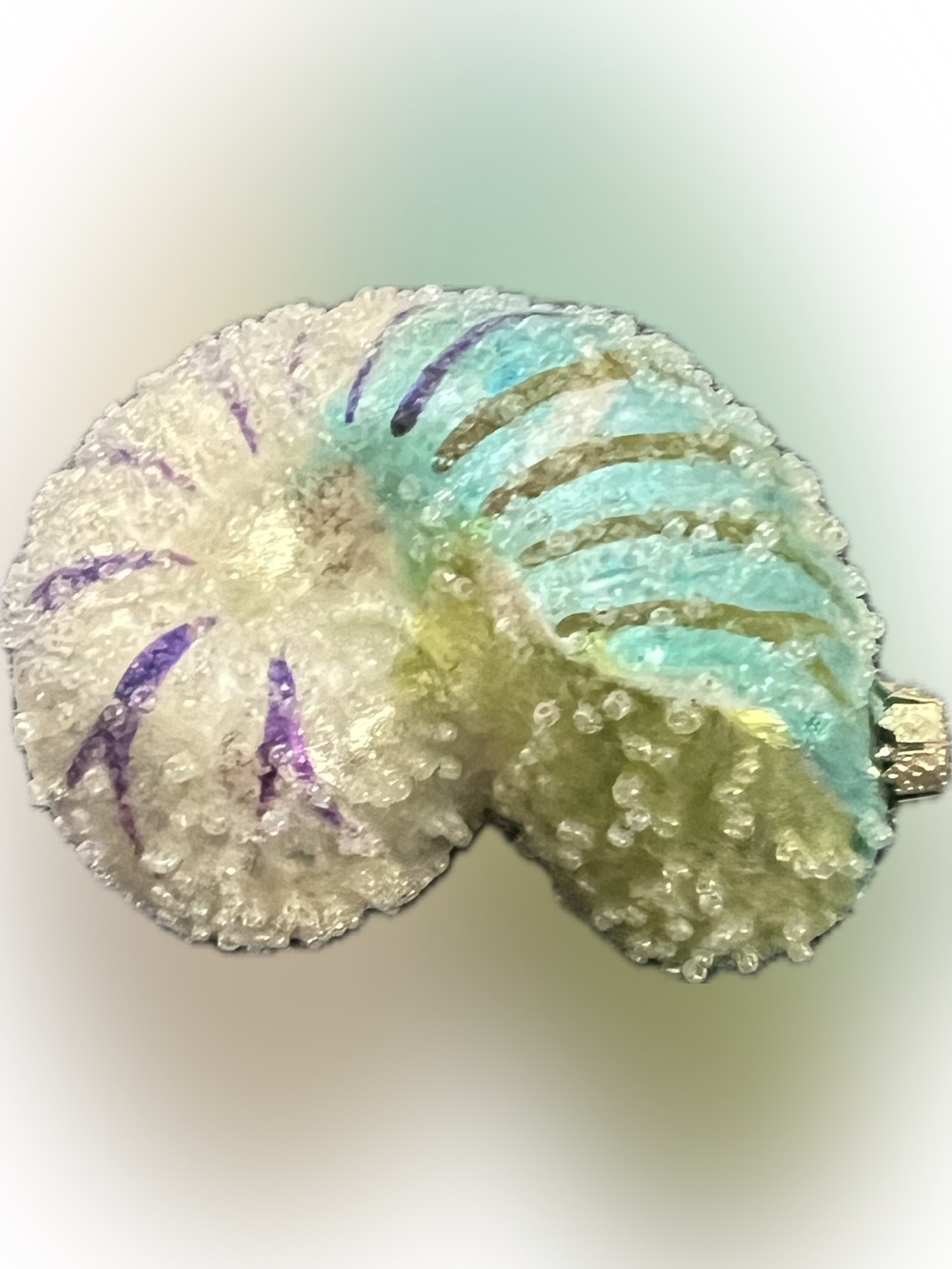 New Glass Nautilus Ombre Shell Blown Glass Christmas Ornament Glitter Beaded - Picture 3 of 6